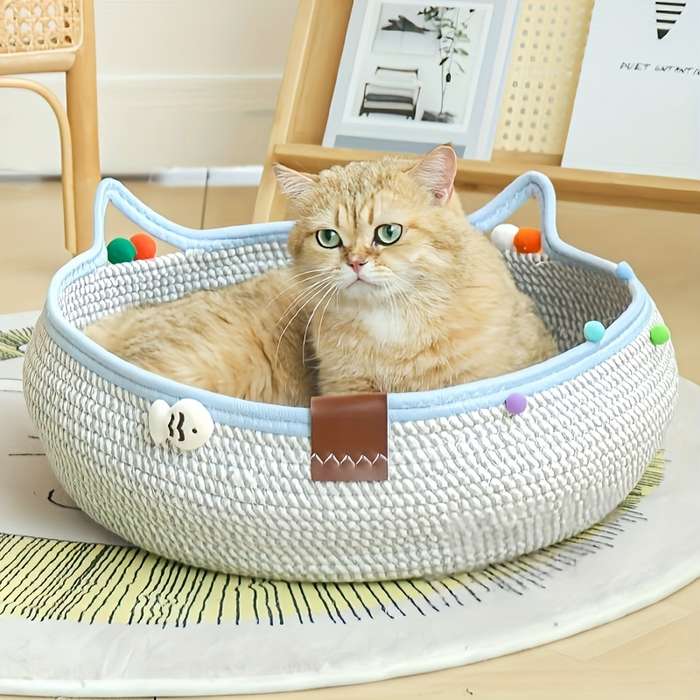 Pet supplies color Blue