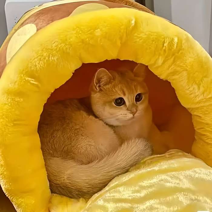 Pet supplies Items Small