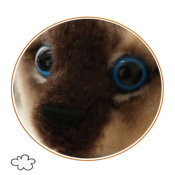 Toy Doll Style Cat