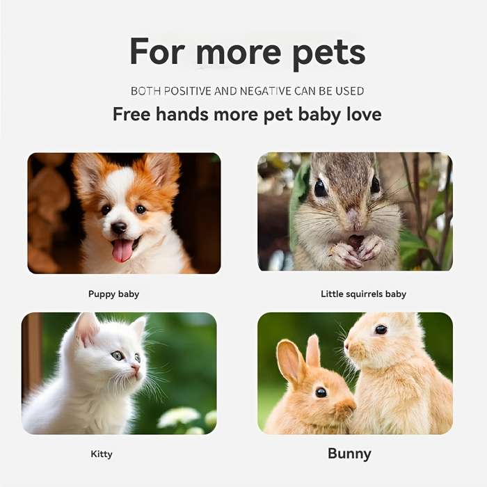 Pet Supplies Color Yellow