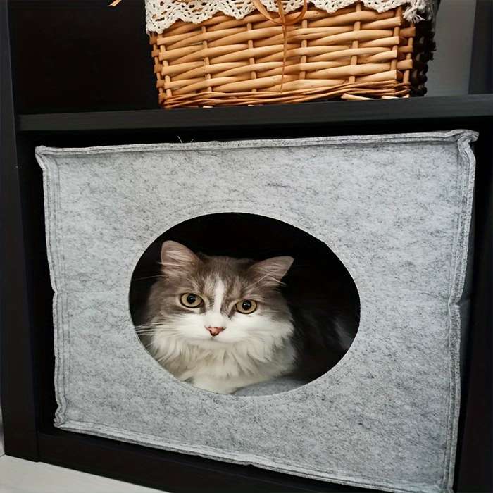 Pet supplies color grey