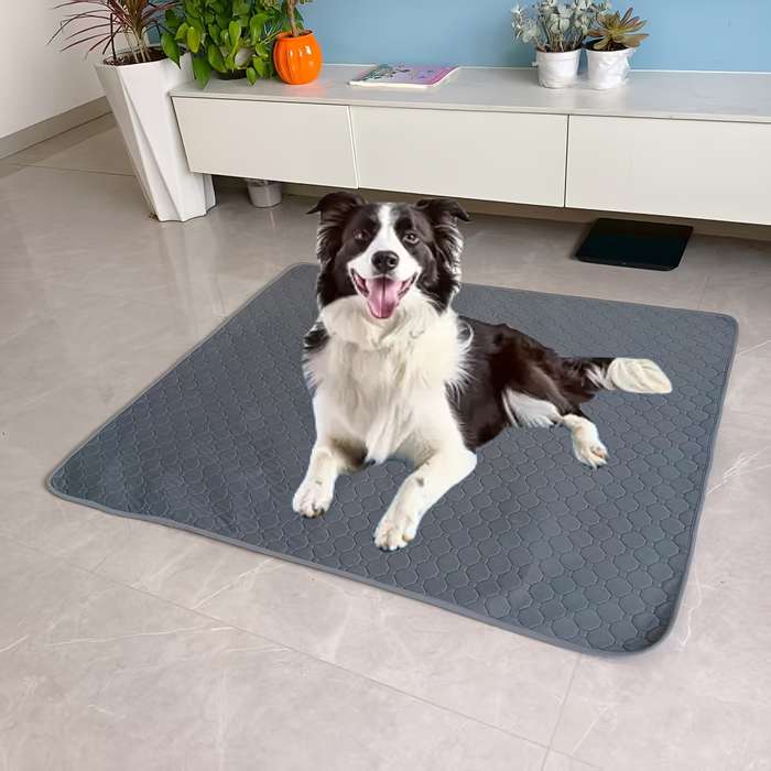 Pet supplies Model 60x 45cm  23.62x 17.72in Quantity 2pcs