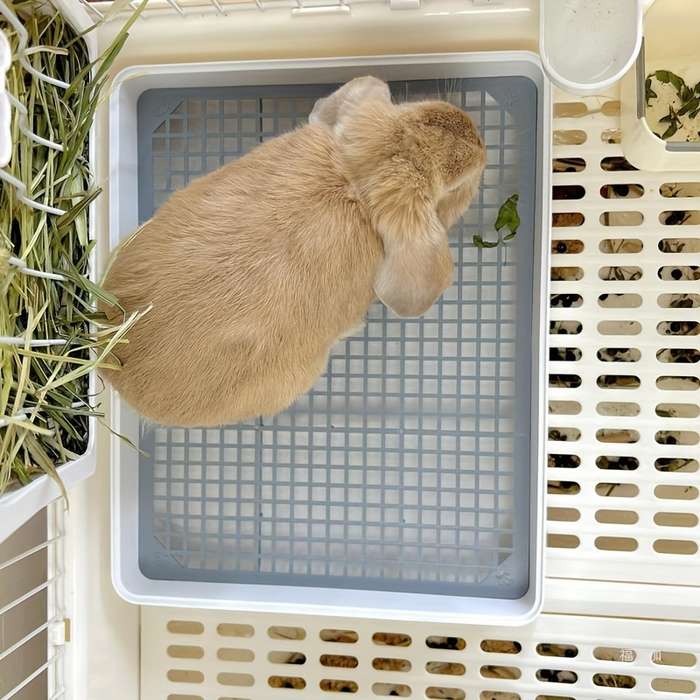 Pet supplies Quantity 1pc