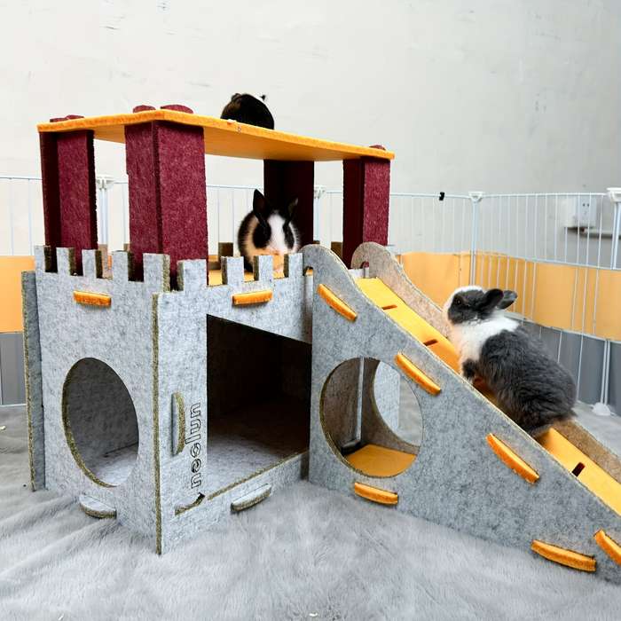 Pet Supplies Color Gray