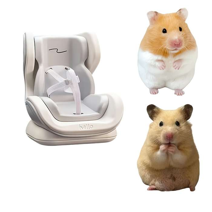 Pet Supplies Color Grey