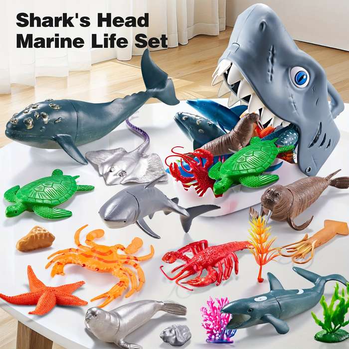 Storage And Organizationitems 1Set Shark Set