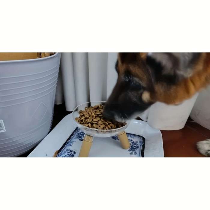 Pet supplies Model Transparent bowl  Add  light    colored shelf