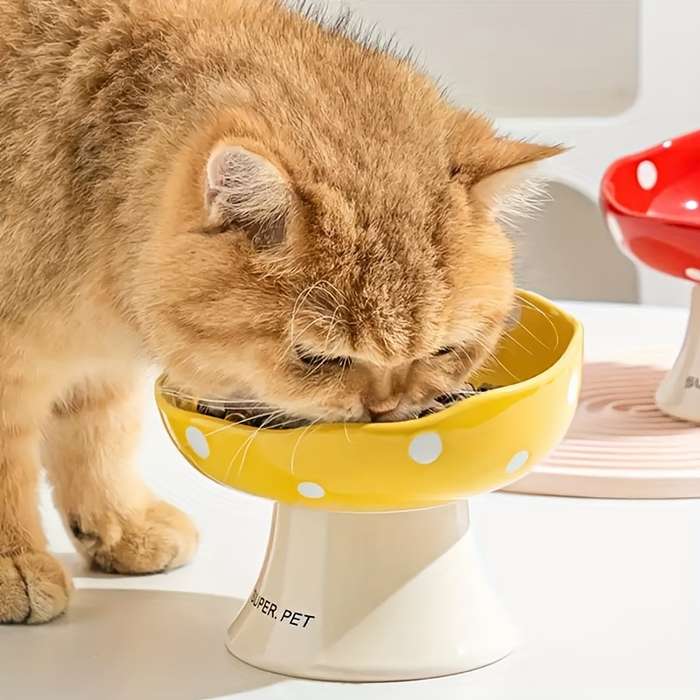 Pet Supplies Color Yellow