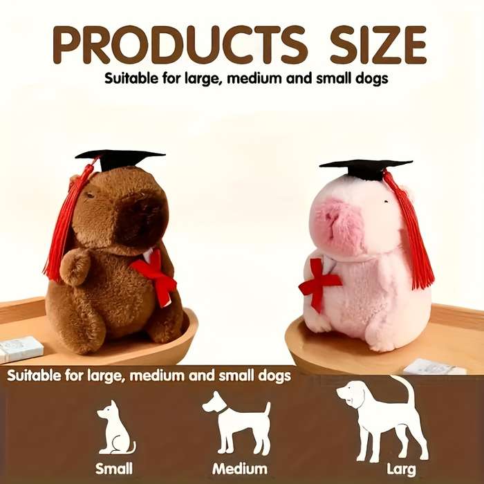 Toy Dolls color Dark Brown Style Doctor Capybara