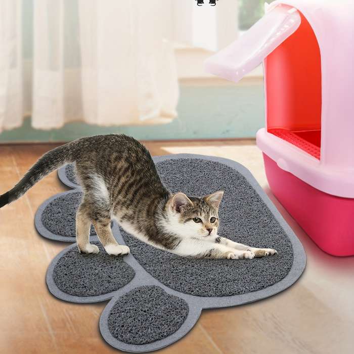 Pet supplies color Beige Color