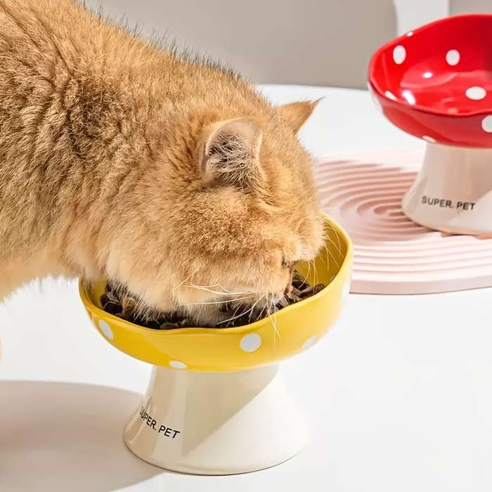 Pet Supplies Color Yellow