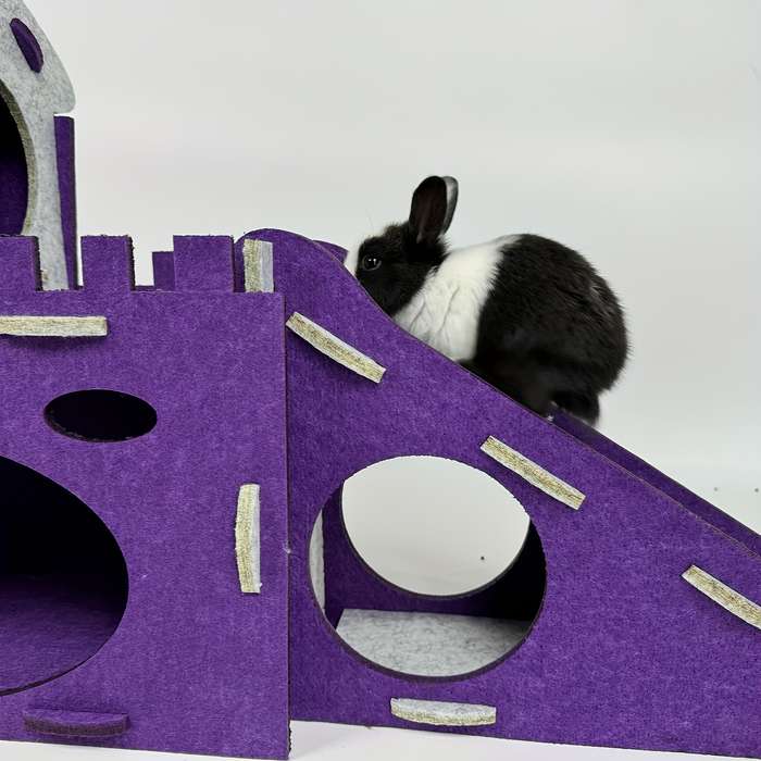 Pet Supplies Color Purple