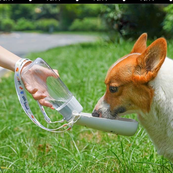 Pet Supplies Color White