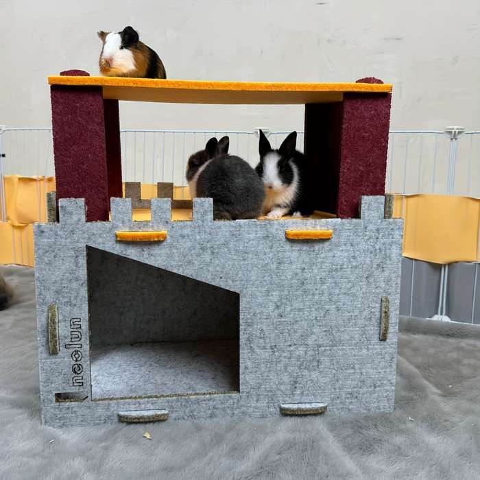 Pet Supplies Color Gray