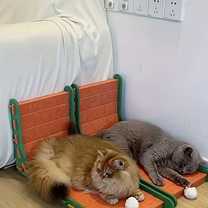Pet Supplies Color Orange