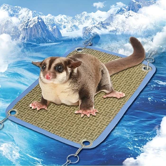 Pet supplies size 19.99x30.0cm