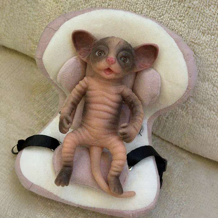 Toy Doll Flavors Mini Cat
