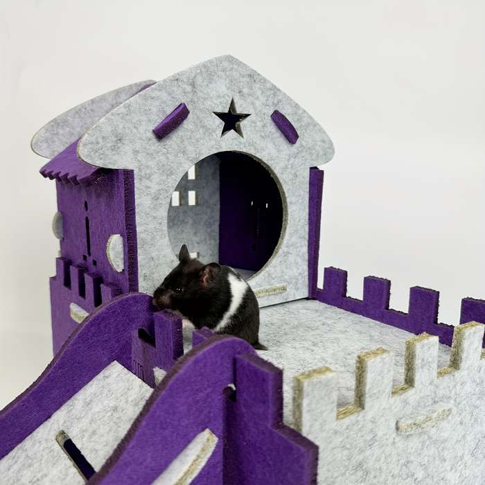 Pet Supplies Color Purple