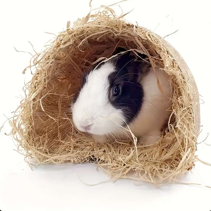 Pet supplies size L