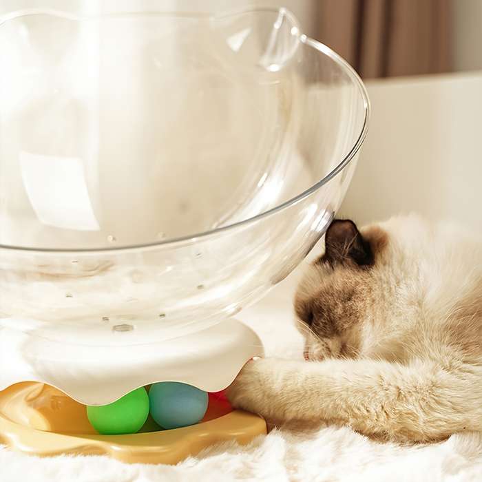 Pet supplies color Yellow Model Era