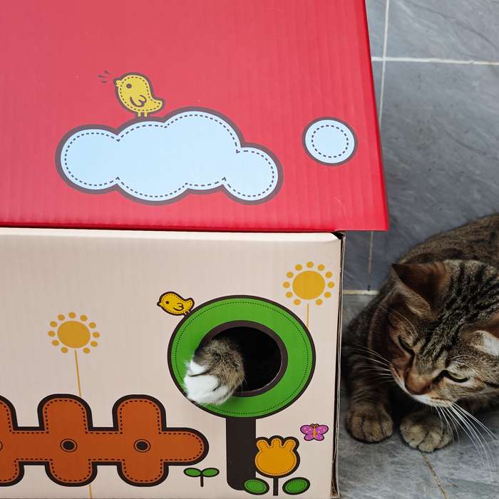 Pet Supplies Size 51X40X36Cm Items Red Flat Roof House