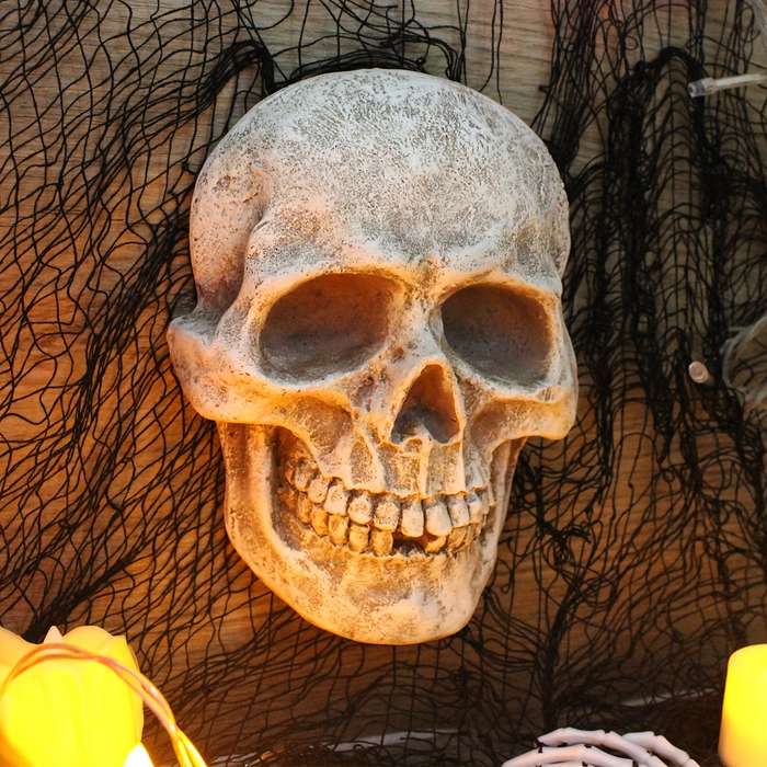 Halloween Decorations Color Front Skull