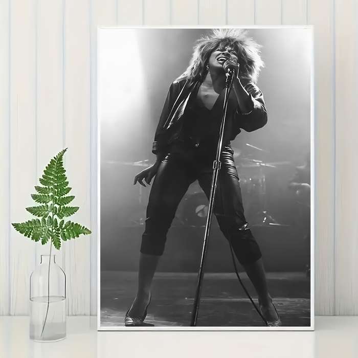 1pc  Tina Turner Concert Poster Unframed Vintage Black and White Canvas Wall Art Rock Retro M