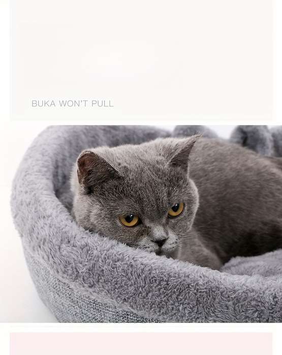 Pet supplies size L