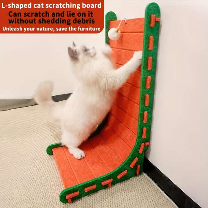 Pet Supplies Color Orange