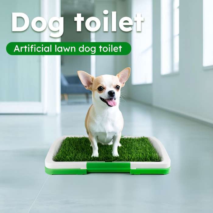 Pet supplies Style Small dog toilet