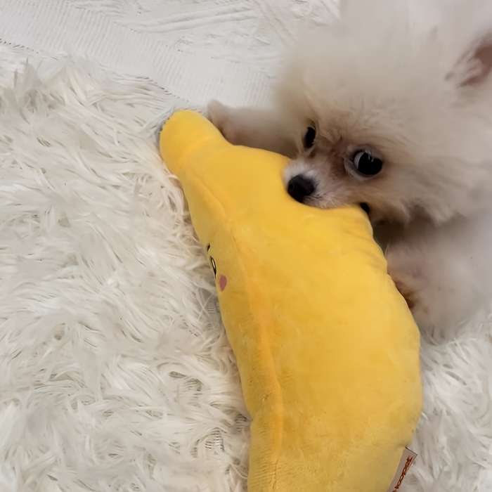 Pet Supplies Items Plush Sounding Banana Trumpet