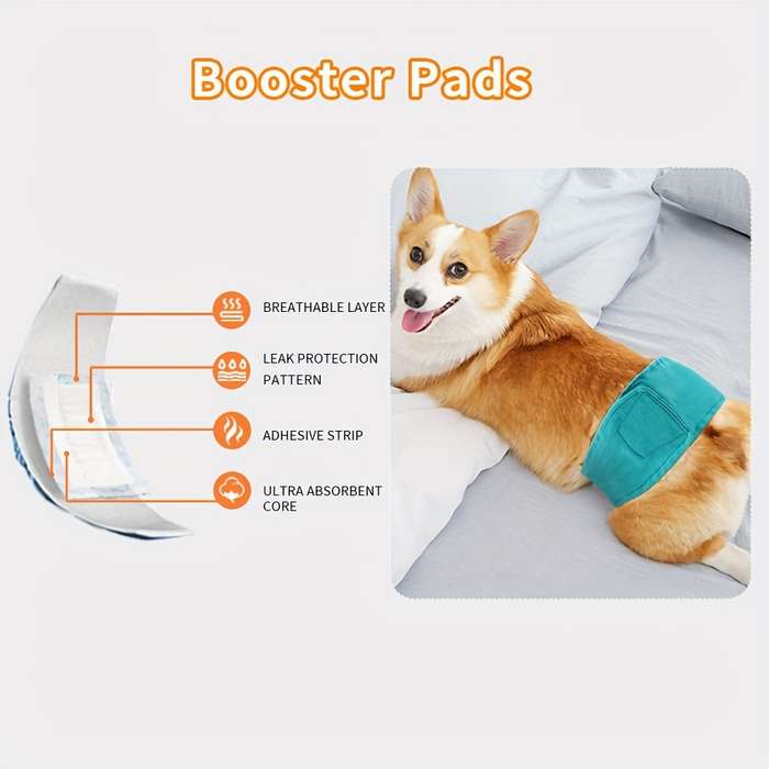 Pet supplies size M