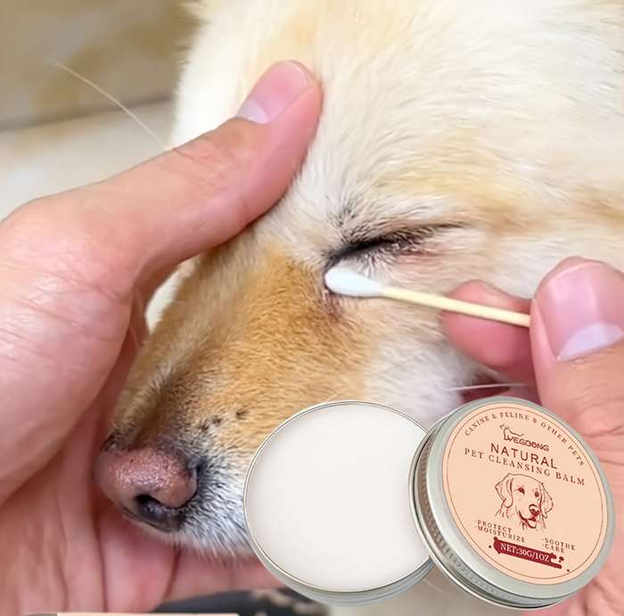 Pet supplies Quantity Professional Tear Removal Four    Piece Set