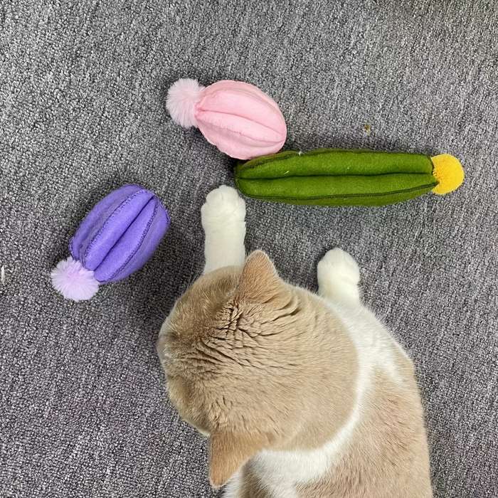 Pet supplies color Yellow