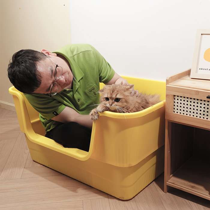 Pet supplies color Yellow