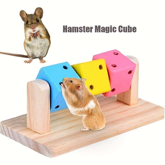 Pet Supplies Quantity 1Pc