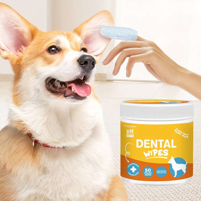 Pet supplies Quantity 1 Box