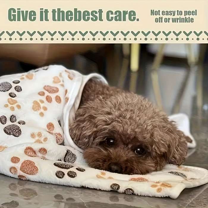 Pet supplies Quantity 10pcs