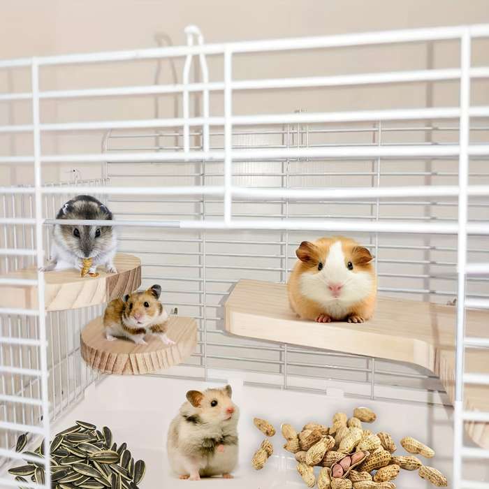 Pet Supplies Color 5 Piece Set