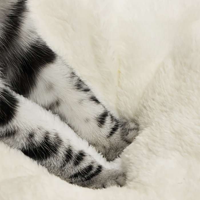 Pet supplies size 50CM  10KG