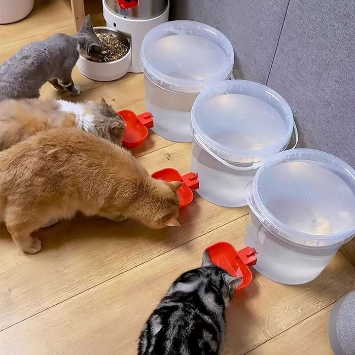 Pet Supplies Quantity 3Pcs Water Feeder