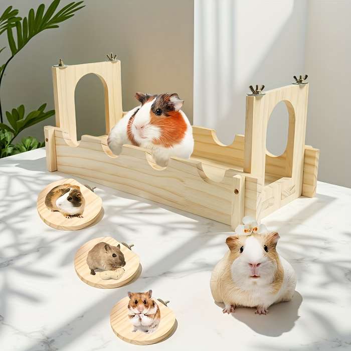 Pet Supplies Style Variety 1
