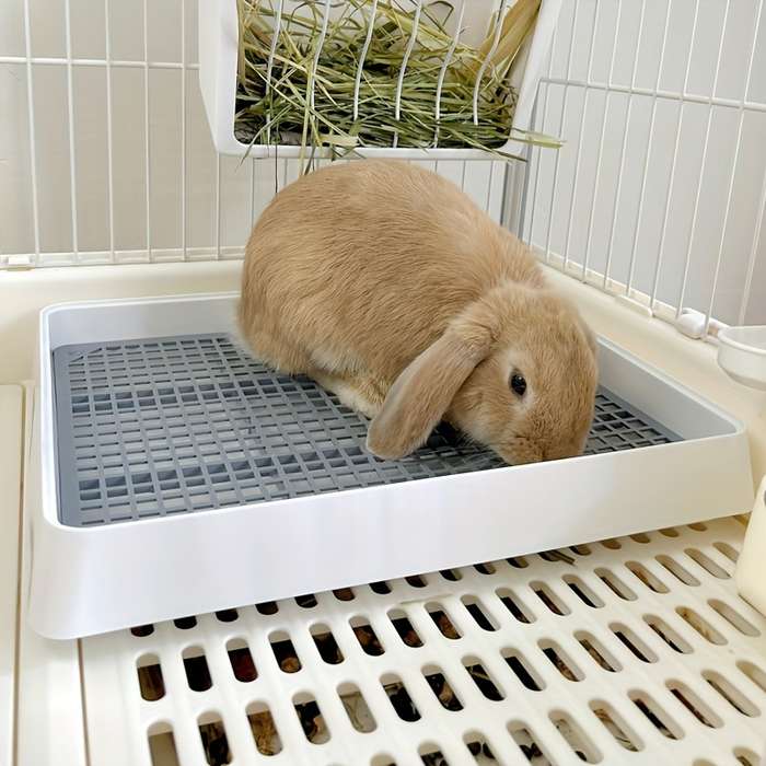 Pet supplies Quantity 1pc