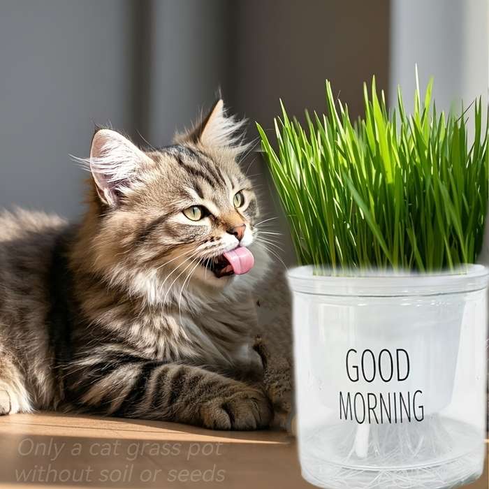 Pet Supplies Color White