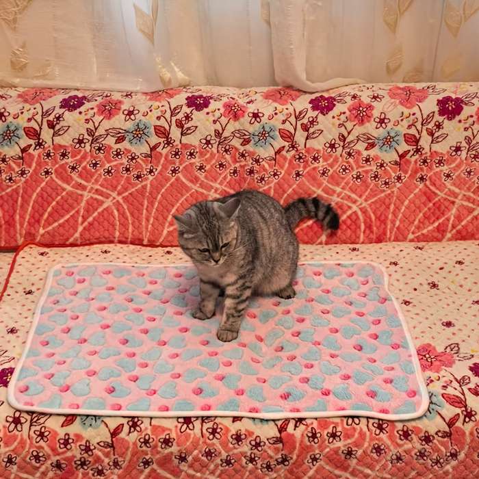 Pet supplies color Mixed Color  12pcs  size M  52x76cm