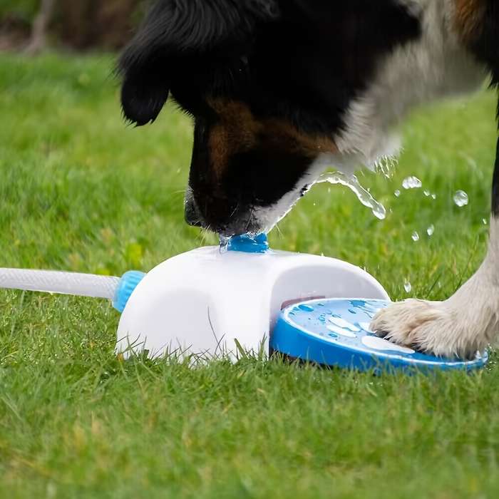 Pet Supplies Color Blue