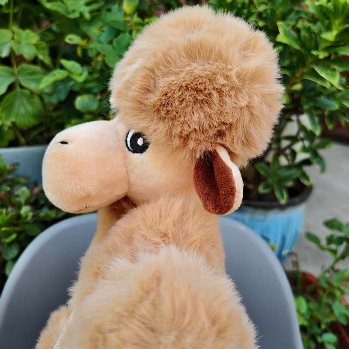 Toy Dolls Model Camel