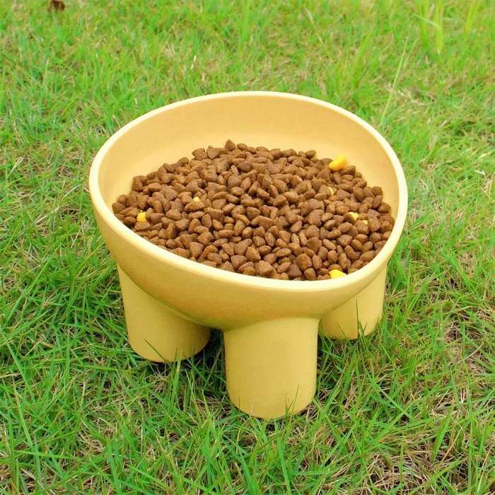 Pet Supplies Color Assorted Varieties Quantity 4 Piece Set