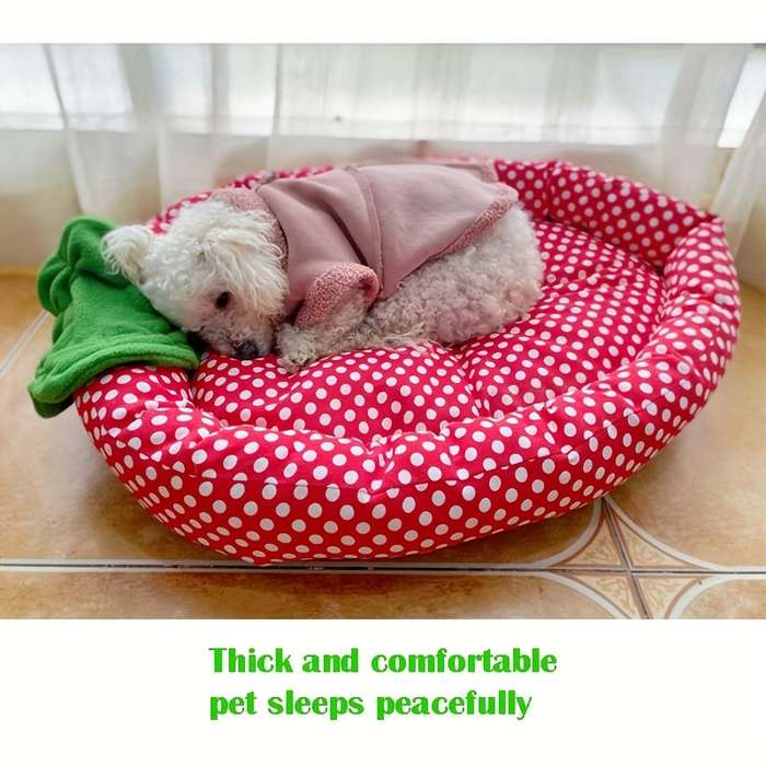 Pet Supplies Size S