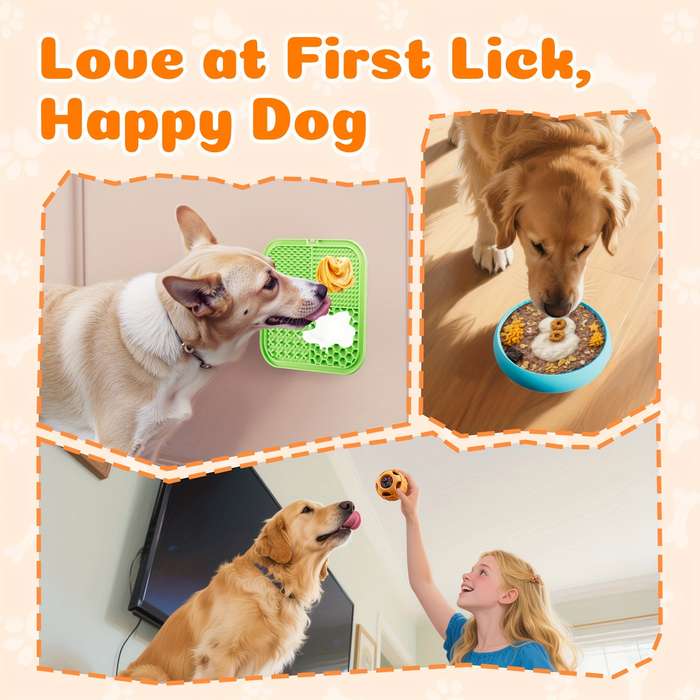 Pet Supplies Model Fr6